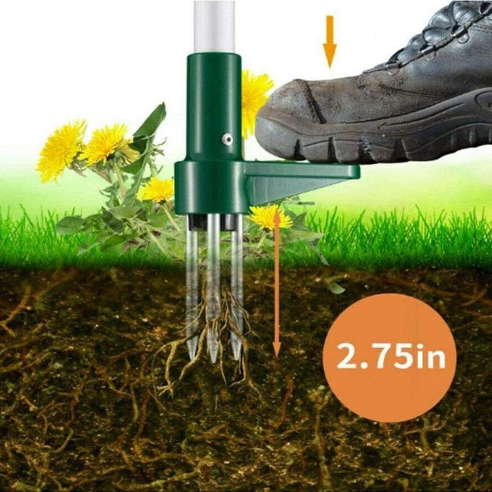 Standing Plant Root Remover