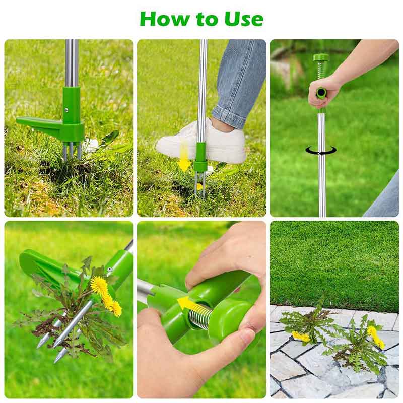 Standing Plant Root Remover