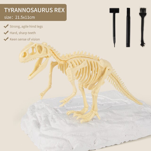 Dinosaur Fossil Dig Kit