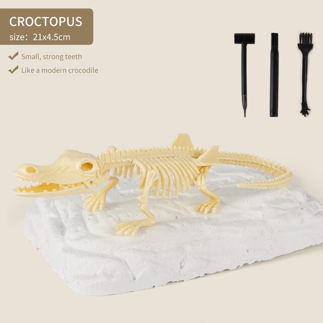 Dinosaur Fossil Dig Kit