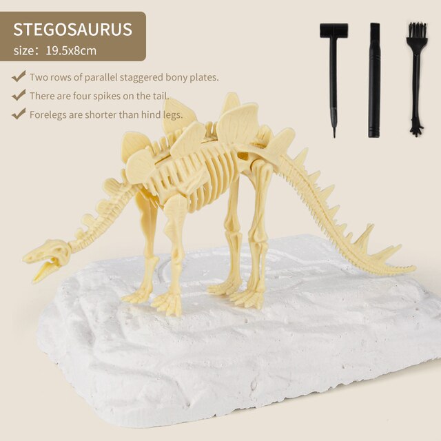 Dinosaur Fossil Dig Kit