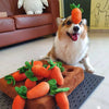 Carrot Farm™