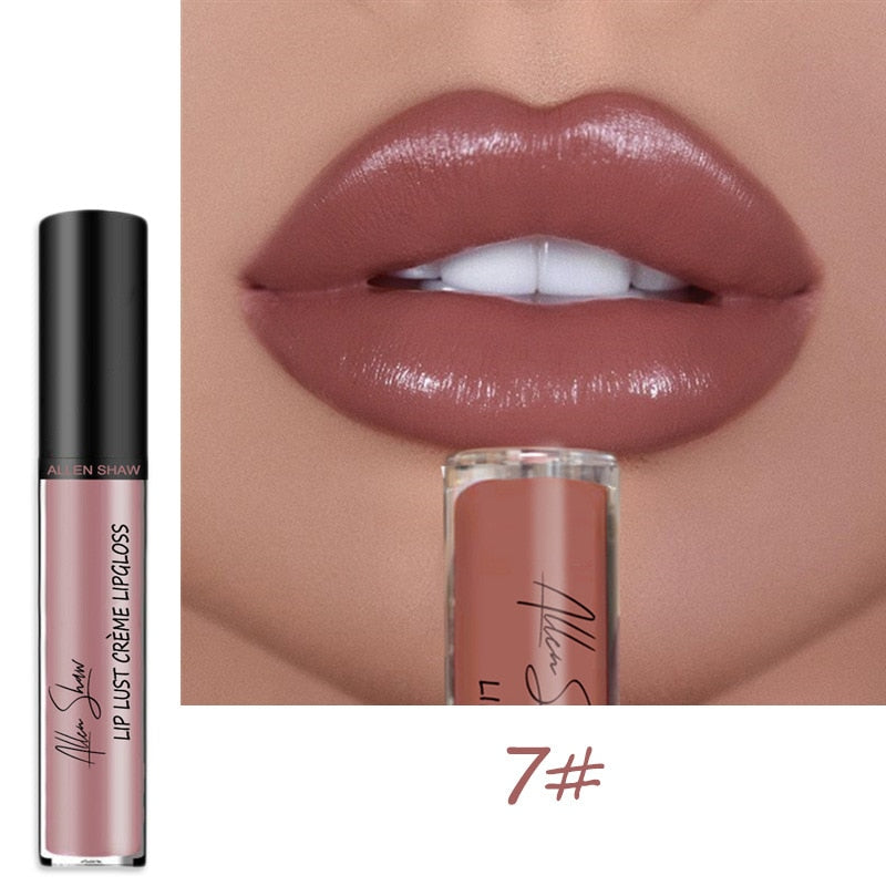 12 Farbe Sexy Frauen Lippenstift