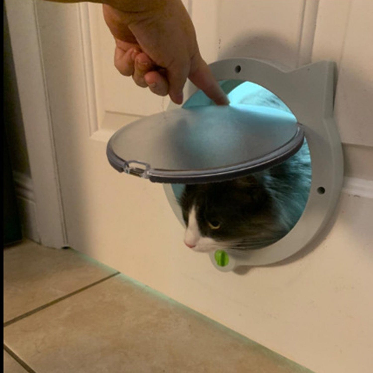 Zugang zu runden Außentüren für Katzen