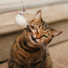 Interaktives Vogelsimulations-Katzenspielzeug-Set