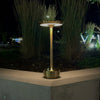 LAMPE™ Metallic Cordless Table Lamp